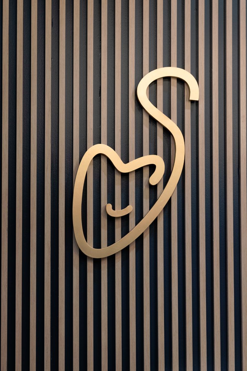 Smile Care Dental Group | Laser Dentistry, Extractions and Ceramic Crowns